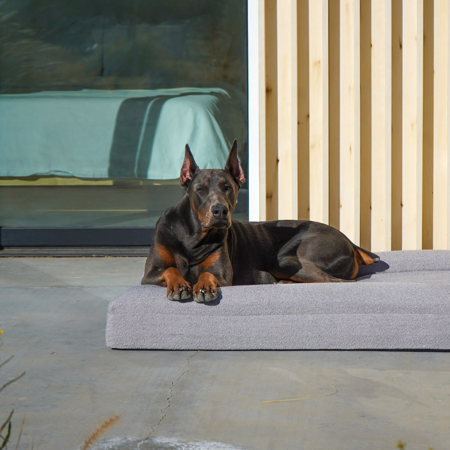 Santorini Dog Bed