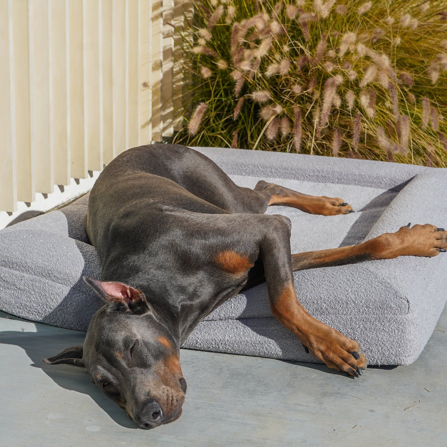 Santorini Dog Bed