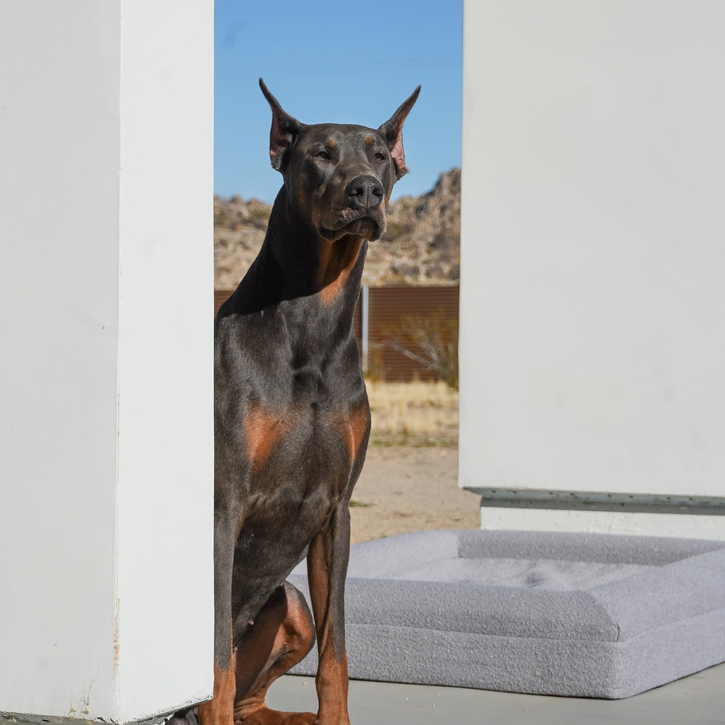 Santorini Dog Bed